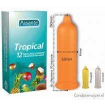 Aromaty tropikalne Pasante Tropical Flavours (1op./12szt.)